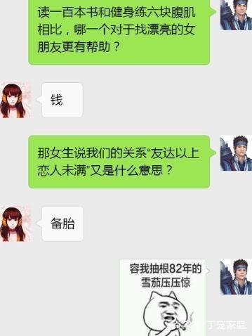 丁宠