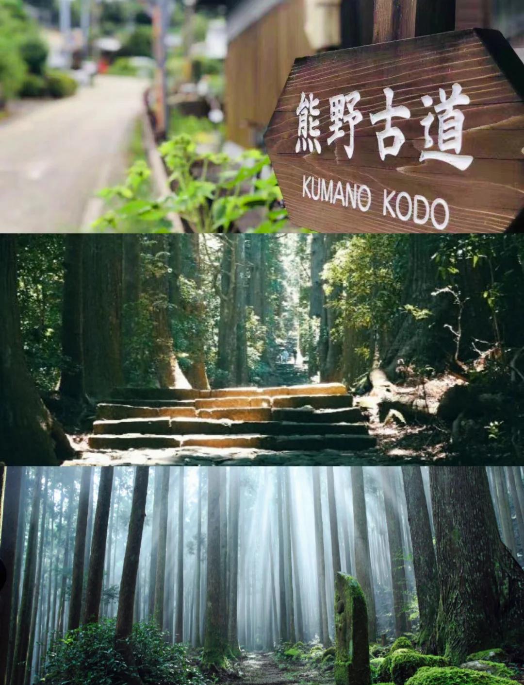 熊野千寻