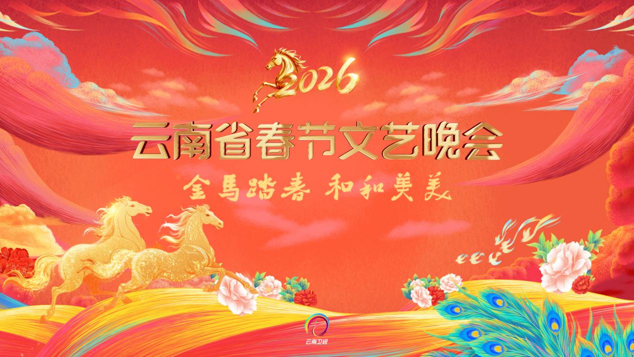 单霁翔 龚琳娜 于荣光 王喆
