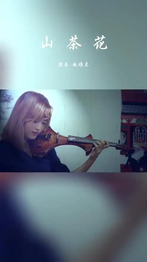 赵雅兰