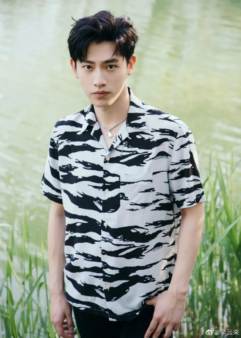 辛云来